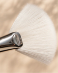 Facial Fan Brush Duo
