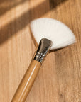 Facial Fan Brush Duo